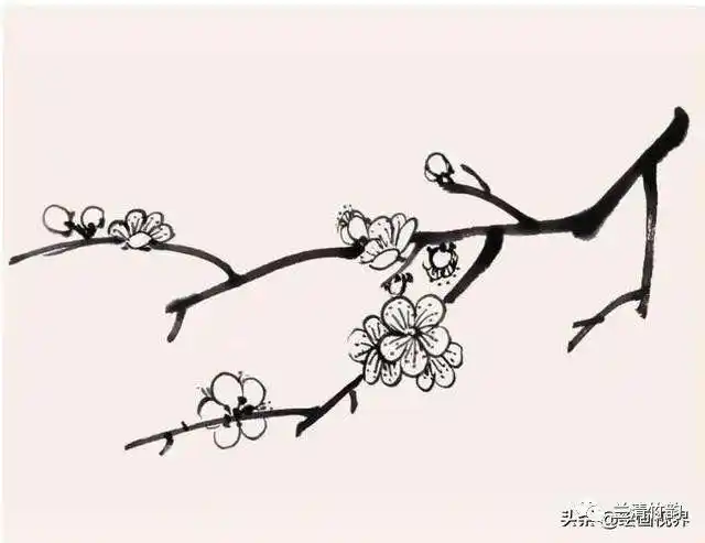 怎样画梅花国画梅花常见枝干的画法