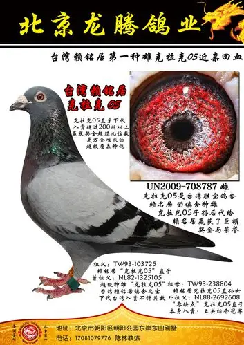 台湾赖铭居克拉克05