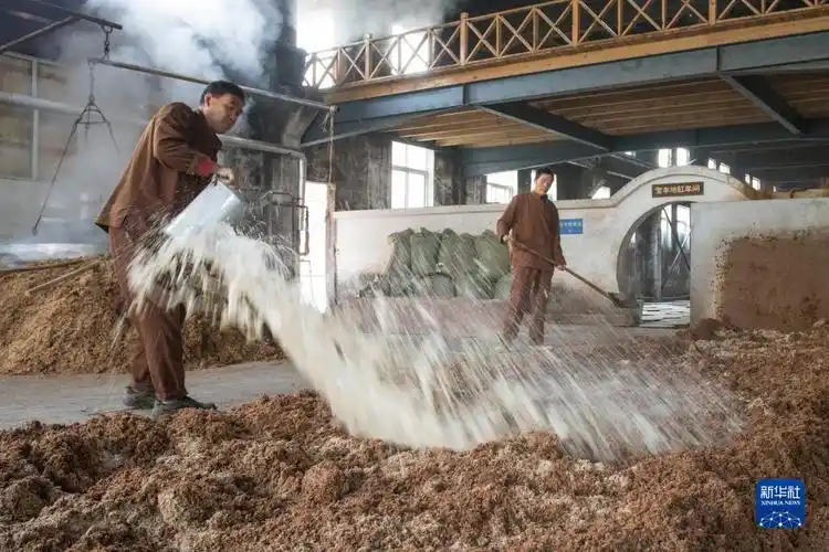 河南宝丰:深秋时节酿酒忙