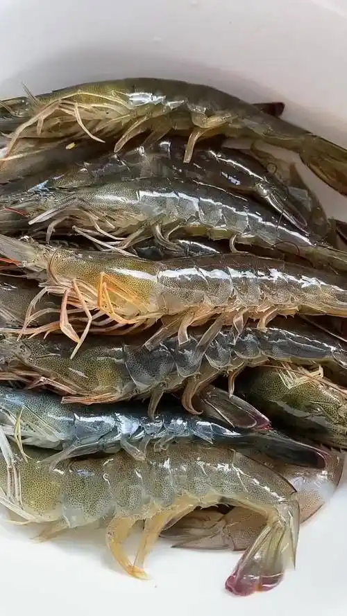 煮大虾别再直接加水教你正确做法