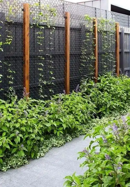 越来越多的年轻人偏爱镂空院墙,除了高颜值,格外看重这高通透感