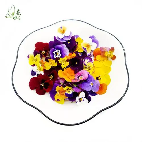 新鲜三色可食用鲜花50朵酒店西餐花草摆盘日烘焙其它