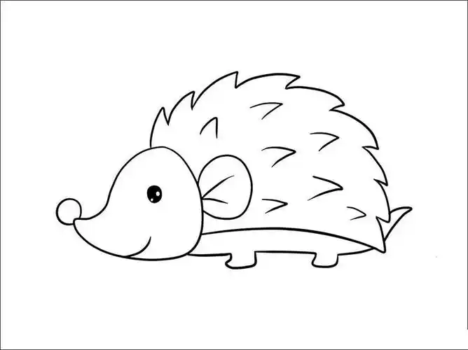 刺猬简笔画,动物简笔画,简笔画图片