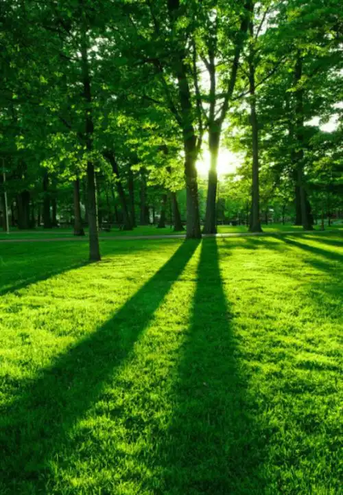 阳光,源自你内心的澄澈!