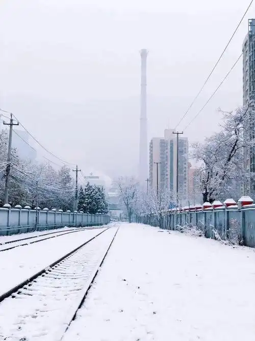 今日寒露!惊喜!延庆下雪啦!|降雪|鸿雁|盛开|大雪节气_网易订阅