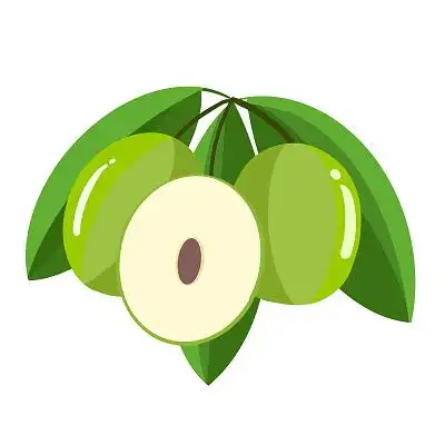 卡通水果冬枣插画手绘png素材水果卡通元素