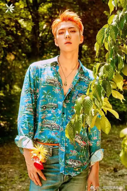做到任何一种夸张的花色搭配只要放在吴世勋身上仿佛就成了高级定制的