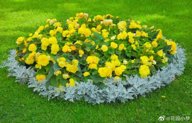 小花坛边缘设计小诀窍:1.使用砖块,2.种上观赏草,3.铺设石块,4.