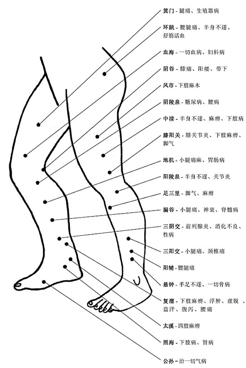人体穴位作用注解图背部4背部3背部2背部1头部大腿小腿脚面脚底手臂外