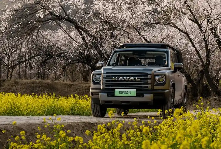 标配255/60 r19规格轮胎,还可选装265/60 r18规格轮胎.