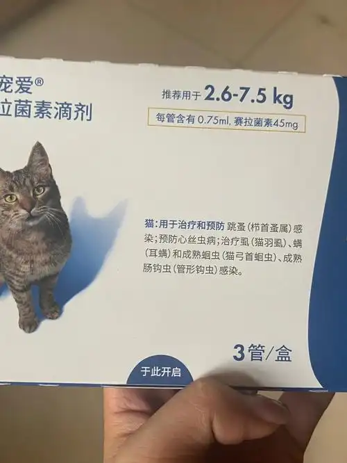 旗舰店买的大宠爱查询次数3次