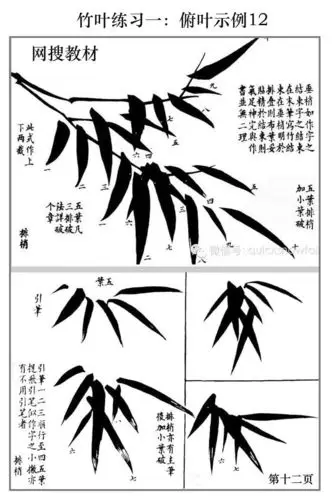 20200301董老师教学竹子画法