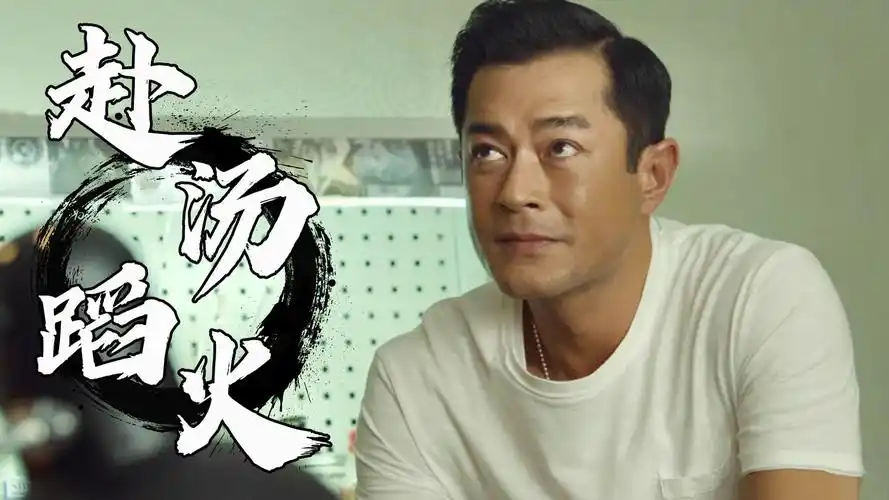 追龙2:追缉大富豪:带你走进那个特殊年代,了解世纪大案的真相-影视综