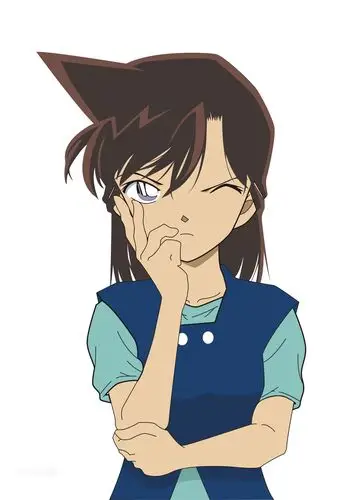 漫画中的毛利兰