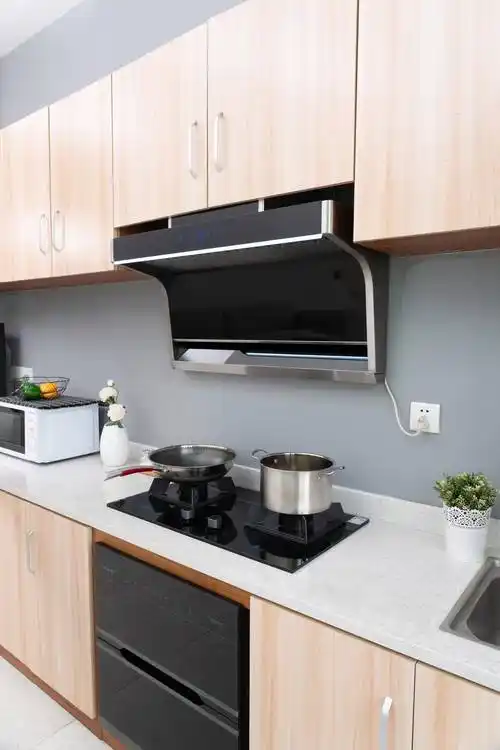 目前主流的抽油烟机分为顶吸,侧吸,低吸,超薄这几类,低吸是集成灶款