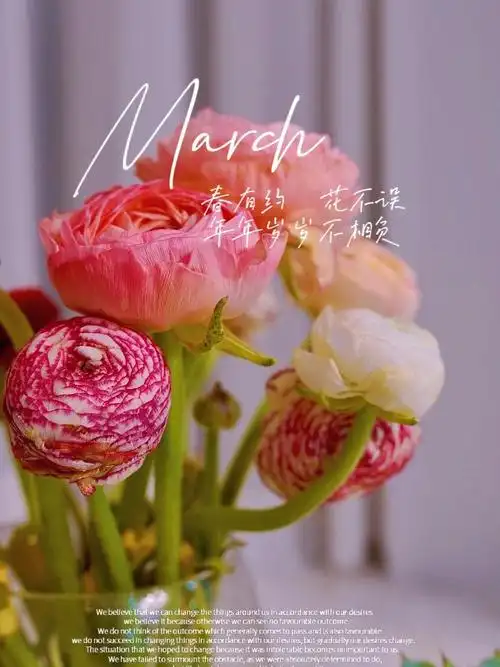 嘻嘻 收到花儿心情一下子变好了呢,美美哒治愈系花儿@茜茜的花儿94