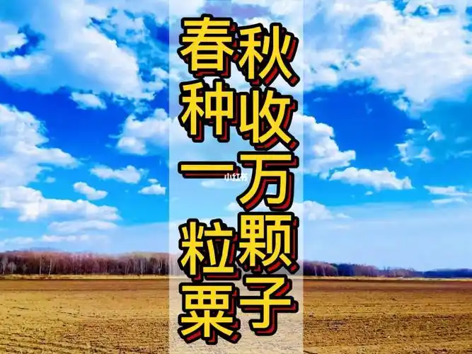 春种一粒粟秋收万颗子