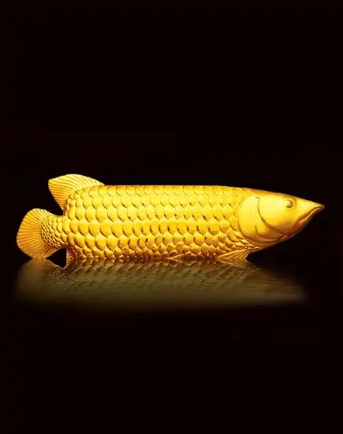 千足金金条 莲年有余10g