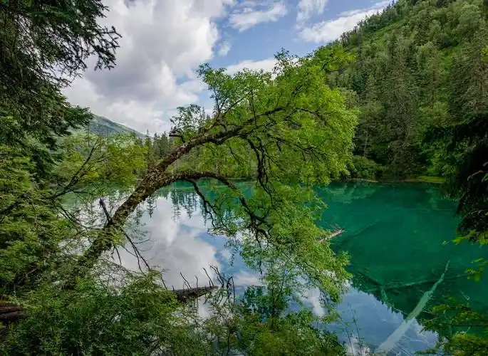 神仙池风景区位于川西北高原岷山山脉南段九寨沟县,与九寨沟遥遥相望