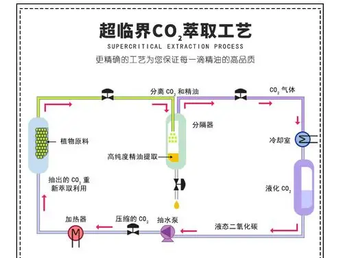 工厂直销 厂家批发 纯正天然 植物 单方精油 原料 超临界辣椒精油