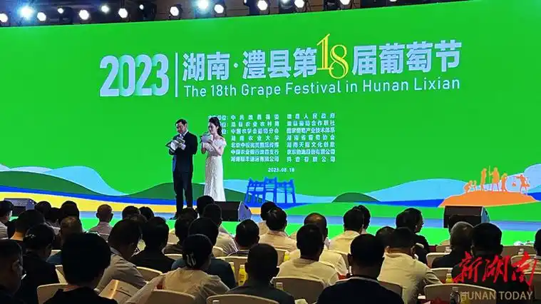 澧县第18届葡萄节开幕 今年葡萄产业产值将超100亿元 - 新湖南客户端