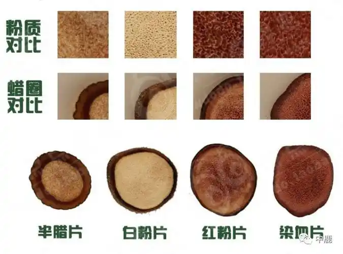 市场上常见的鹿茸片,你这样买就对了