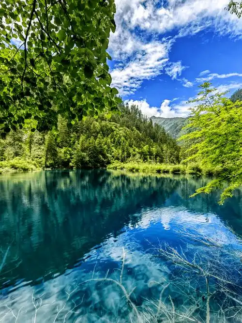 在九寨沟体验一场,复古的中国式浪漫_景区_via_游客