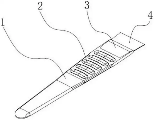 cn209564184u_一种修脚刀有效