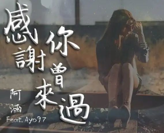 感谢你曾经来过就算你是个过客是什么歌