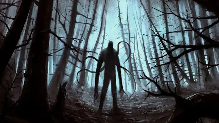 瘦长鬼影(the slender man)