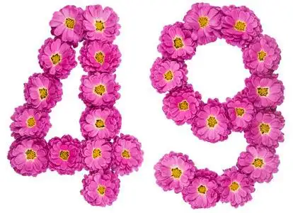 阿拉伯数字 49, 四十九, 从菊花花, 是摄影图