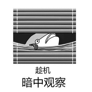 趁机暗中观察_趁机_暗中_观察表情