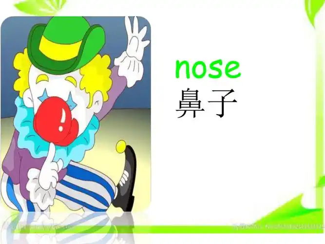 unit3lookatmynoselesson13课件共16张ppt