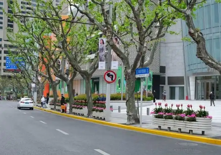 静安街头,真的太美啦!_腾讯新闻