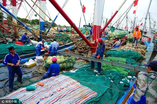 江苏太仓长假后首批海产品进渔港供应市场
