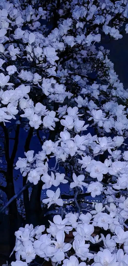 蓝色满天星碎花323032333635鲜花壁纸好漂亮