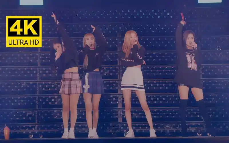 blackpink 《ddu-du ddu-du》演唱会超高清现场!