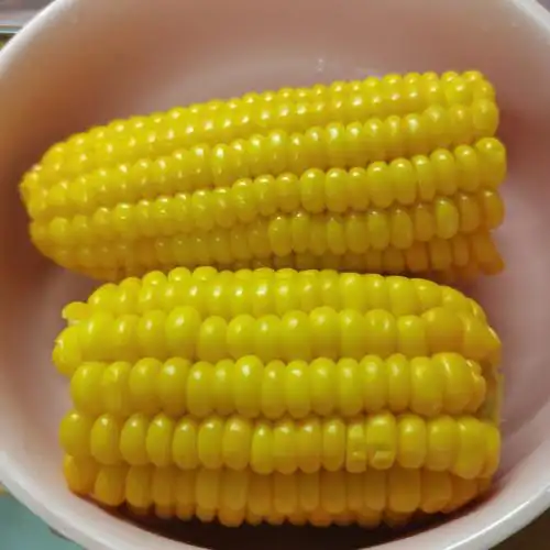 用盐煮玉米的进