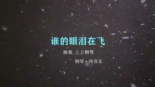 谁的眼泪在飞(钢琴曲 纯音乐)