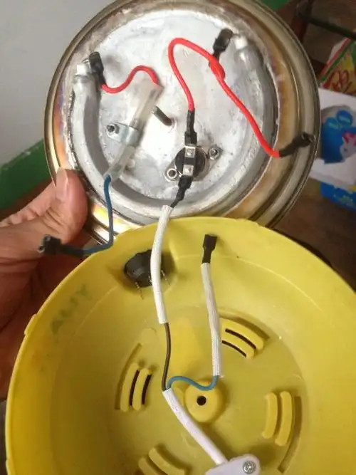 我的煮蛋器 线不知道怎么插了 接开关的三根线被我拔了 不知道怎么插