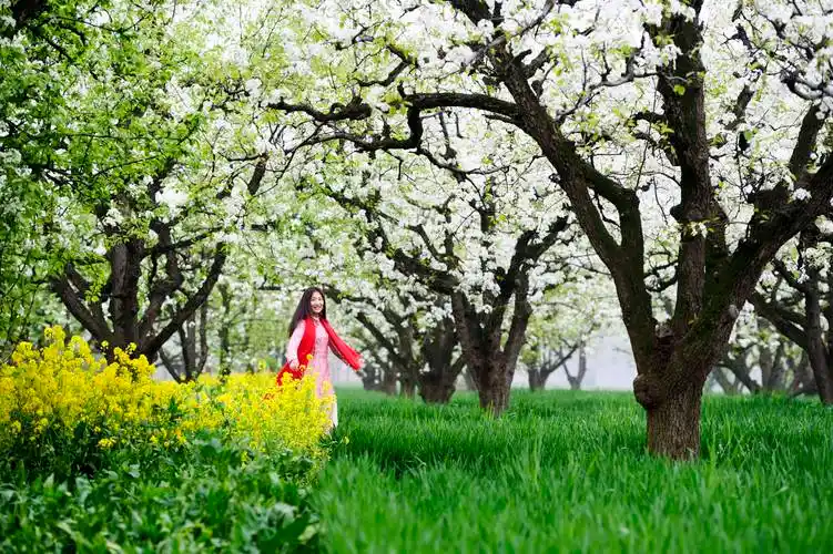 原创身材高挑的美女买肉磨刀大爷的眼睛都看直了网友大爷当心