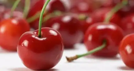 cherry复数是什么