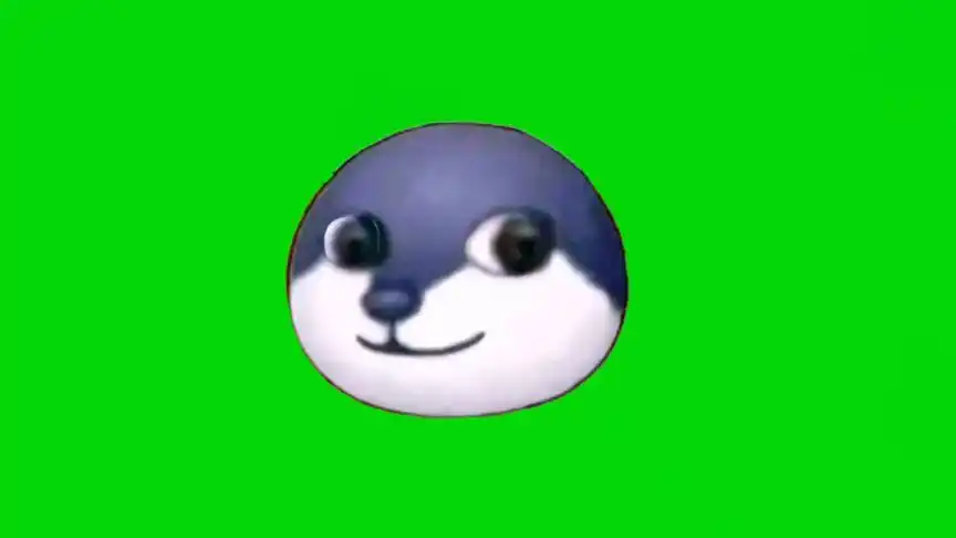 狗头眨眼绿幕素材