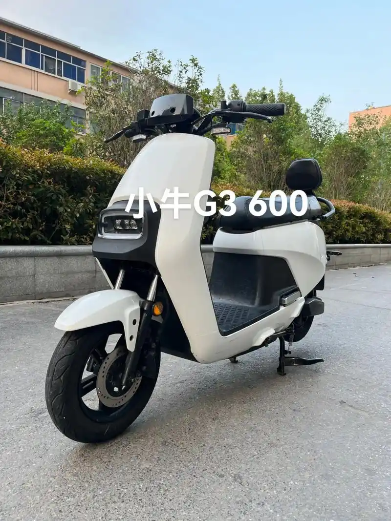 小牛g3 600.整车带电池#让骑行成为一种生活 #小牛g3