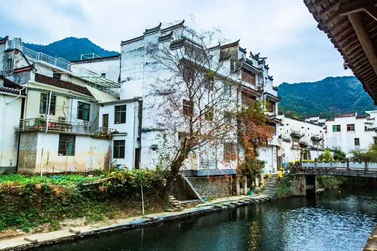 婺源晓起村,藏在大山中的古村落,有"中国茶文化第一村"的美誉_皇菊