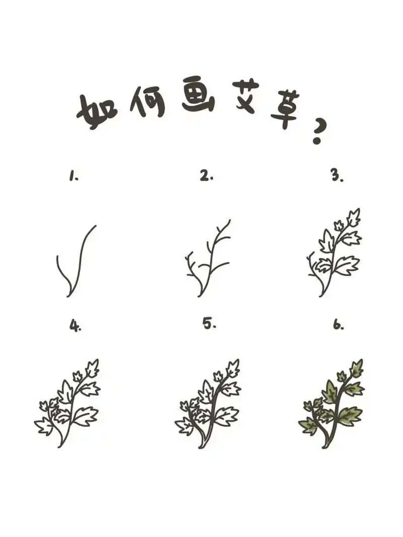 99step1. 先画出艾草的两条柄. 99step2.