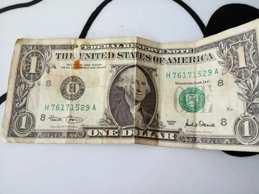 一美元是什么样子的