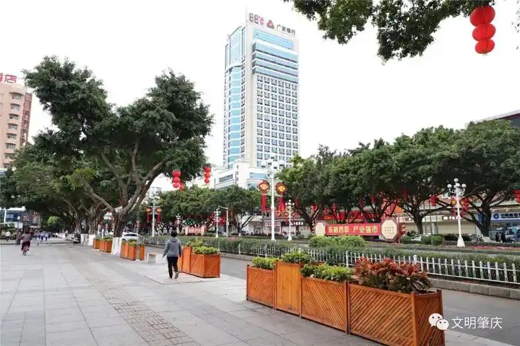 我把城市点靓等你回家过年这么美的肇庆城区你见过吗