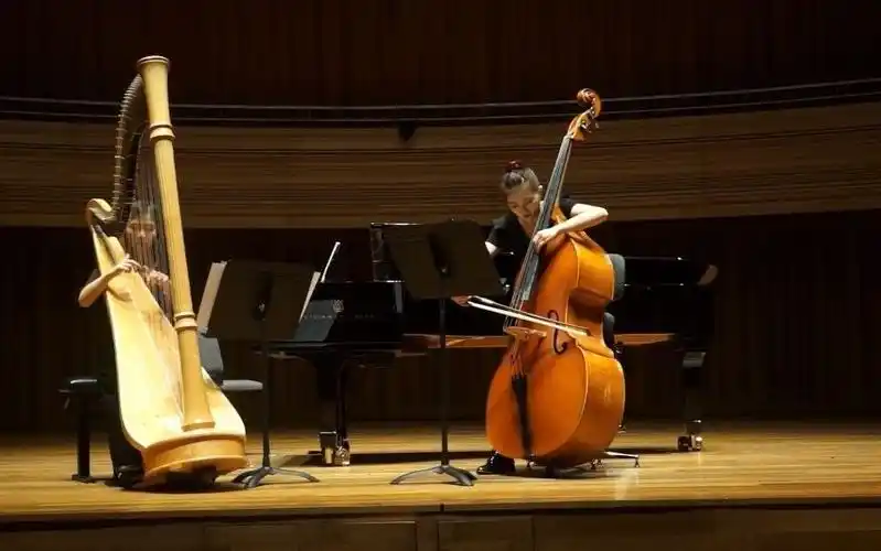 活动  王明圆低音提琴演奏——马思奈· 沉思