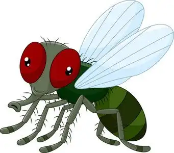 可爱的卡通小苍蝇照片